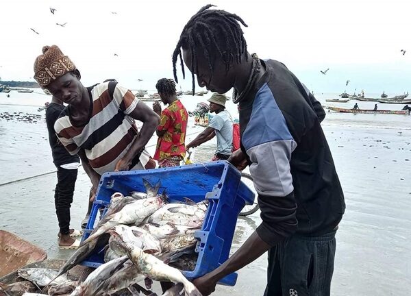 Ministry of Fisheries & Water Resources