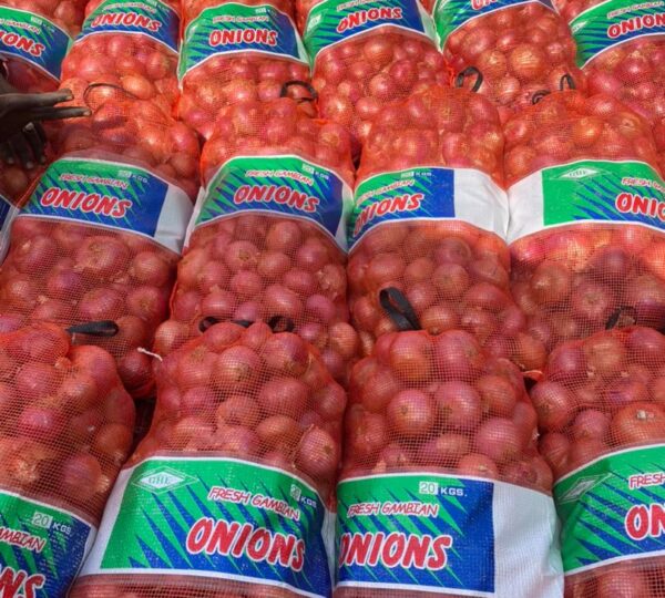 GAMBIA HORTICULTURAL ENTERPRISES