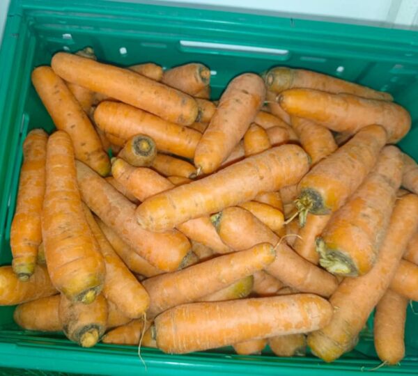 GAMBIA HORTICULTURAL ENTERPRISES