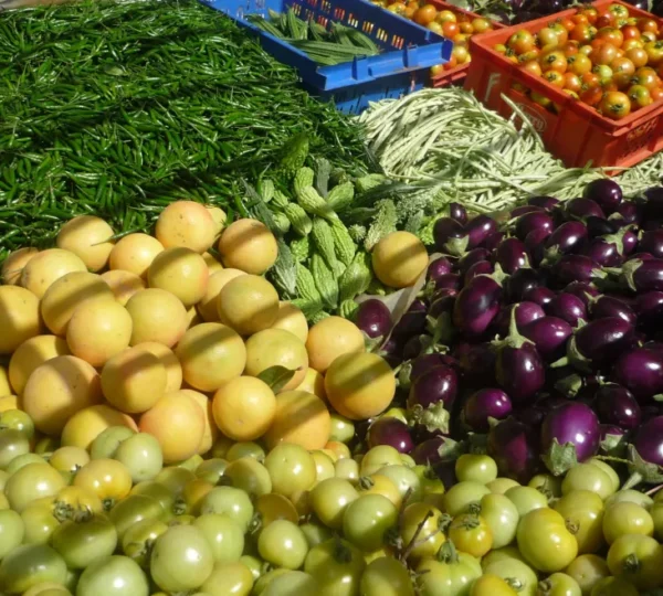 GAMBIA HORTICULTURAL ENTERPRISES