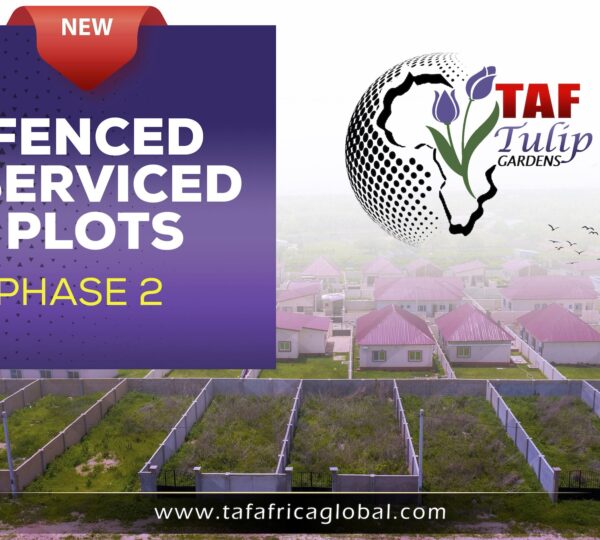 TAF Africa Global