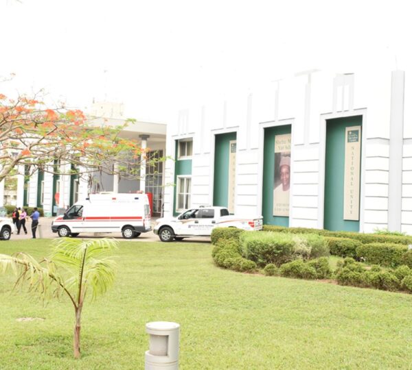 Zenith Bank