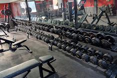 Vibe Fitness
