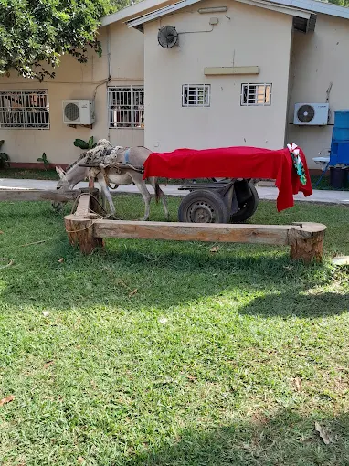 Banjul American International School