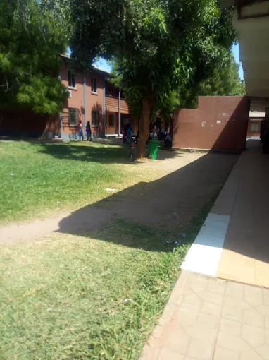 University of The Gambia