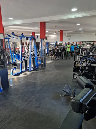 Vibe Fitness