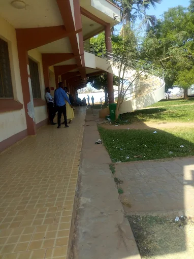 University of The Gambia