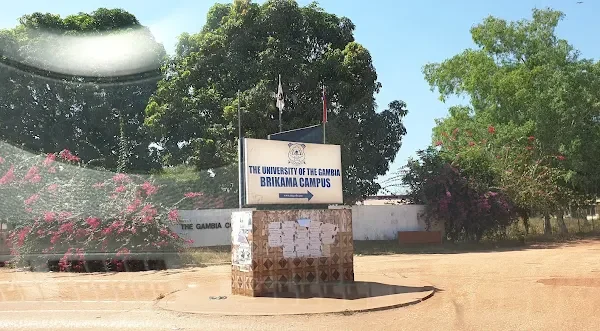 Gambia College
