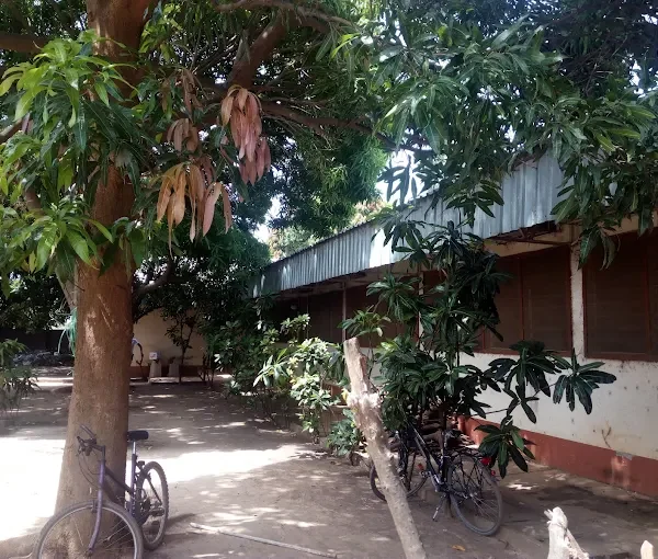 University of The Gambia