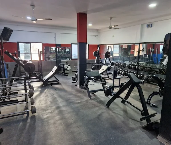 Vibe Fitness