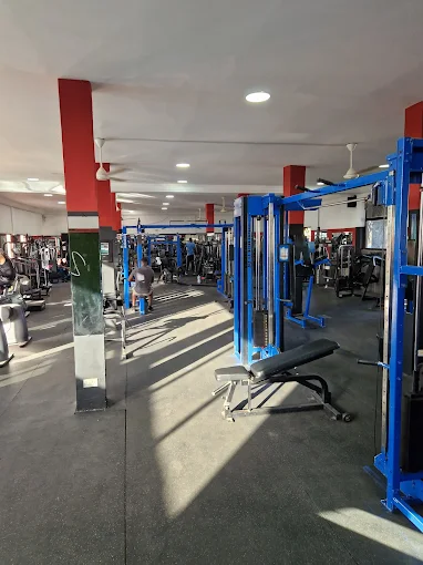 Vibe Fitness
