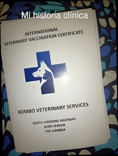 Kombo Veterinary Clinic