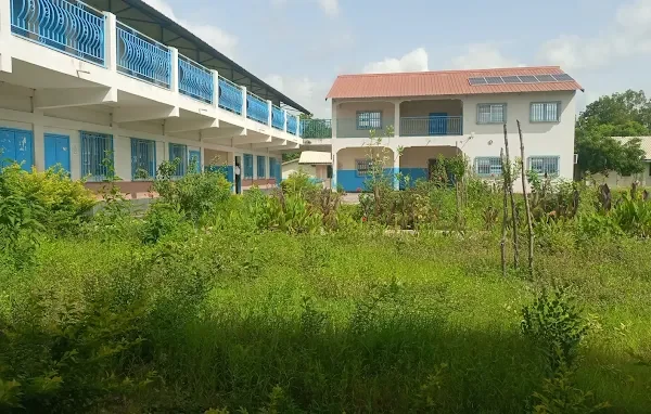 Gambia College