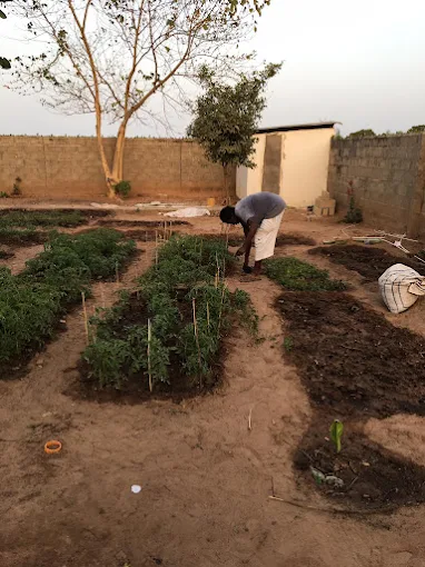 Plots of lands for sale in the Gambia