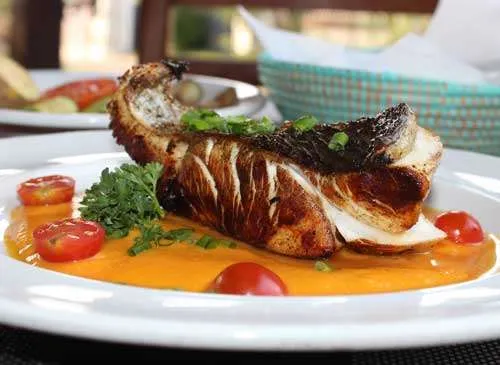 Gusto Italian Restaurant