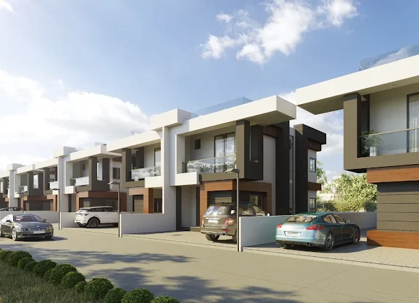Global Properties
