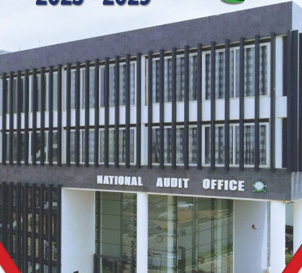 National Audit Office (NAO)