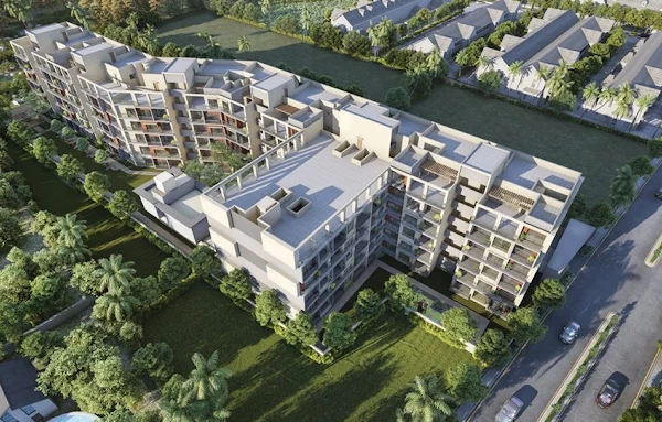 Global Properties