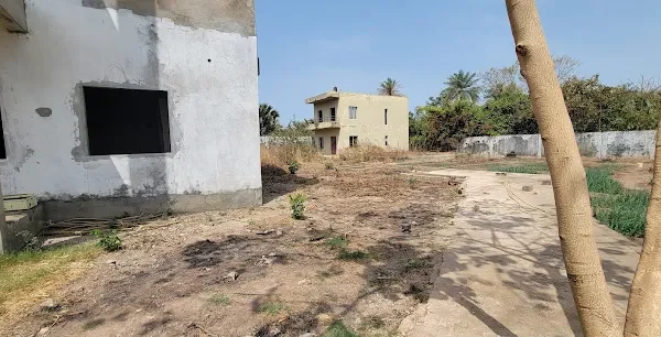 Taranga Real Estate