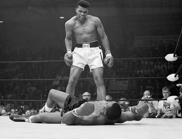 Alpha Male Boxing And Sports Academy