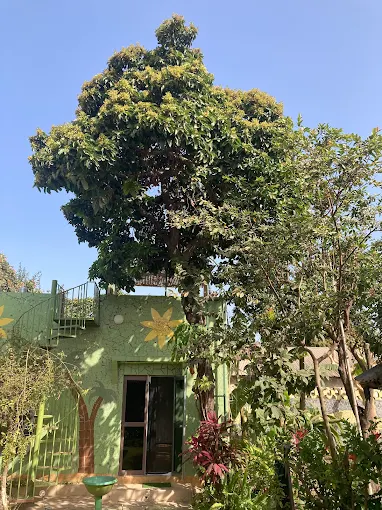 Raphaela Yoga Studio Kotu