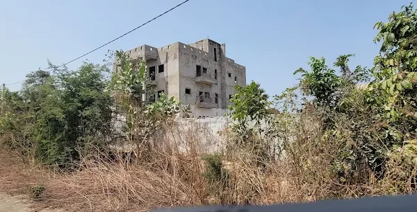 Taranga Real Estate