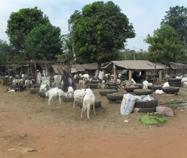 Brikama Craft Market