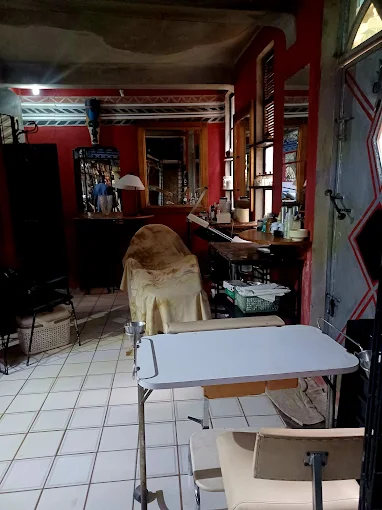 The Salon