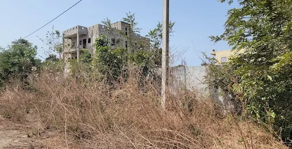 Taranga Real Estate