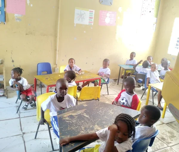 Destiny Domain Schools