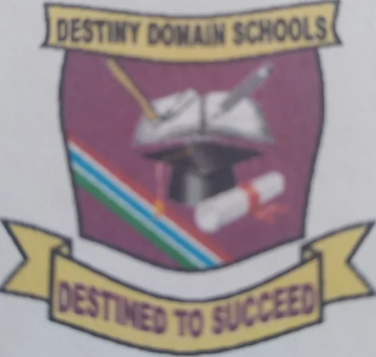 Destiny Domain Schools