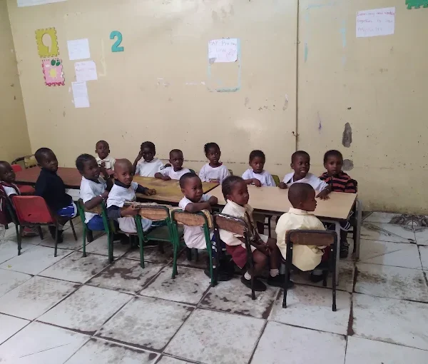 Destiny Domain Schools