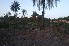 Jamisa Primary School