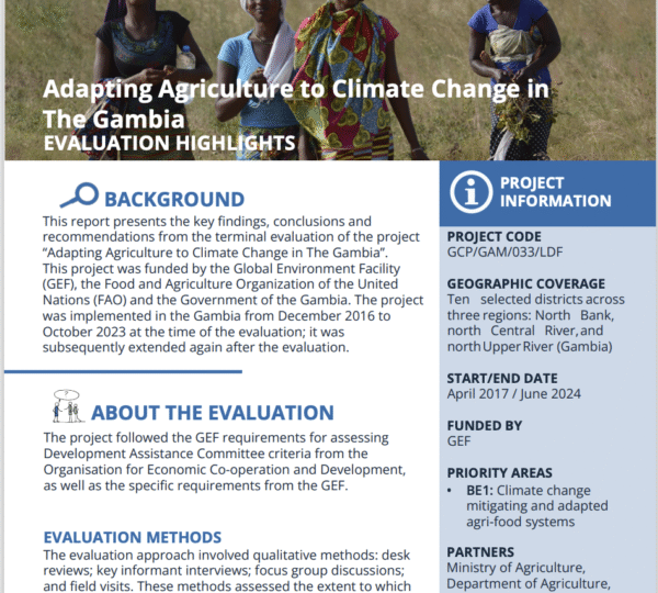 FAO GAMBIA