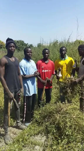 The African Connection Group