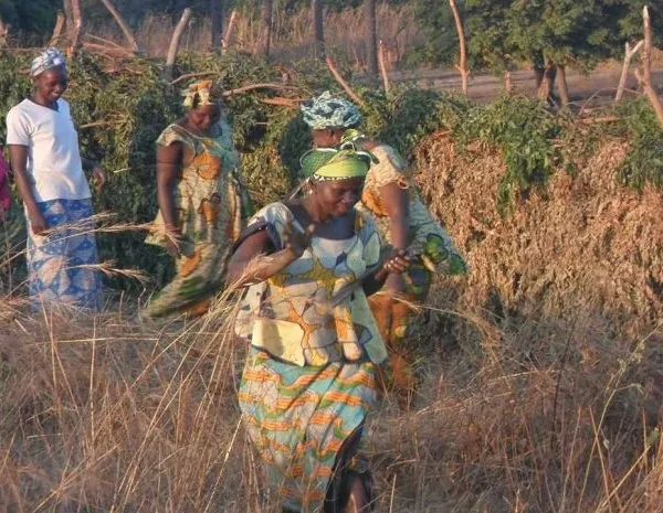 MCO (GAMCO) - The Gambia