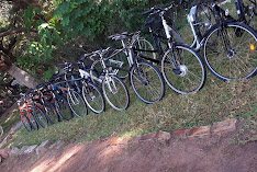 Darboe's Bicycle Rental service