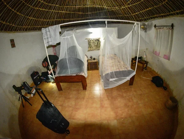 fatou tours gambia