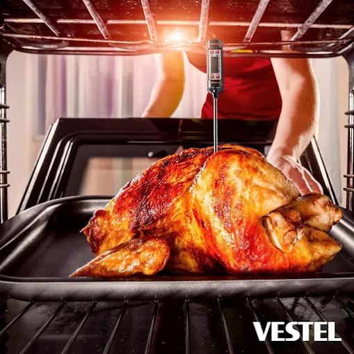 Vestel Electronics