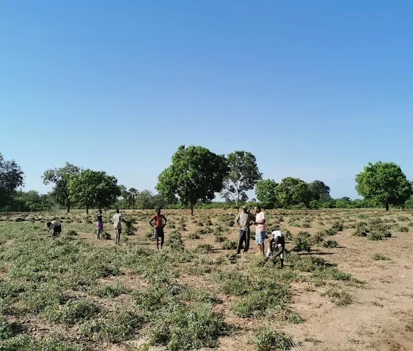 Tour Gambia