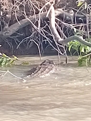 SMILEYS TOURS RIVER GAMBIA EXPERIENCE