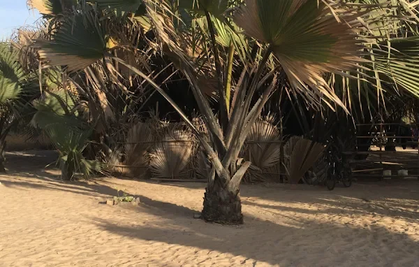 Brufut Beach Camp