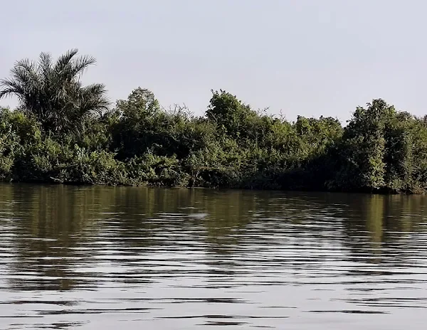 River Gambia National Park