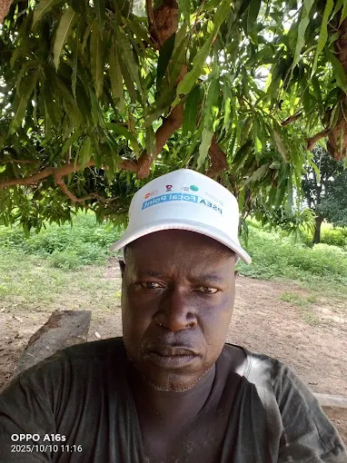 Kumadi Forest Park