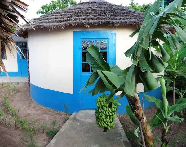 Amdalai Camp