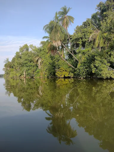 Kunta Kinteh Boattrips