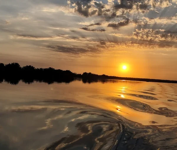River Gambia National Park