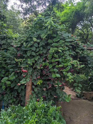 National Botanic Garden
