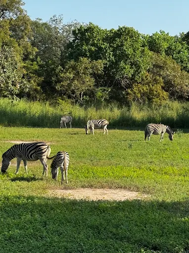 Omi Tours Gambia
