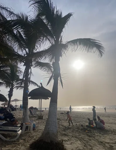 Poco Loco Beach Bar & Restaurant